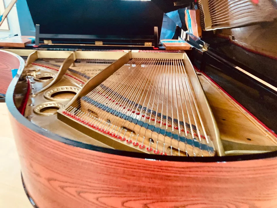 AVAILABLE NOW - Stunning Bechstein Grand Piano